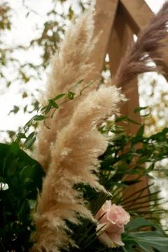 Triangular wooden arch with a composition of pampas grass, palm trees and roses Foto stock