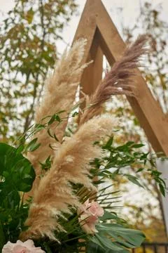 Triangular wooden arch with a composition of pampas grass, palm trees and roses Photos