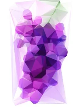 Triangulated purple grape Stock Illustration