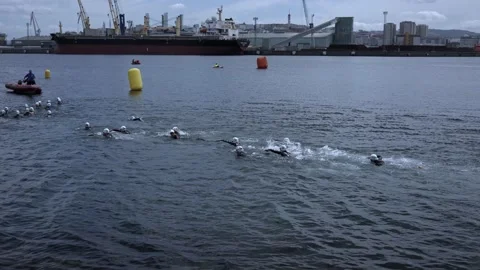 Triathletes swim to the starting point in open water. Stock Footage 213592453
