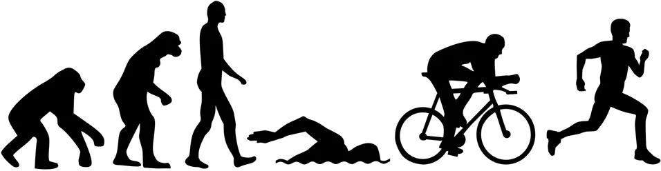 Triathlon evolution Stock Illustration