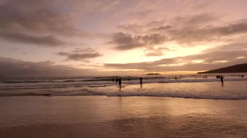 Triathlon, Ironman Florianópolis Stock Footage 240141033