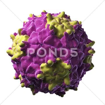 Triatoma virus particle Stock Illustration