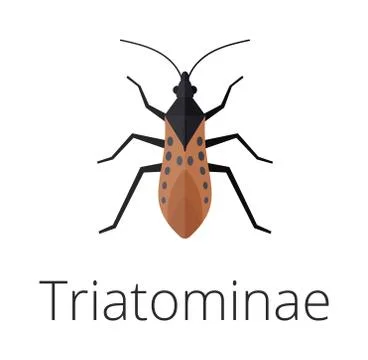 Triatominae skin parasite insect bug Stock-Illustration