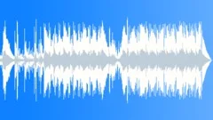 Tribal Drums Stock Music