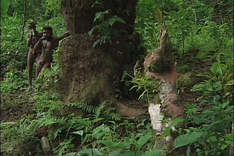 Tribal Men Playing Instruments in Forest Video stock 42181402