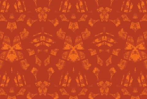 Tribal Pattern Background Stock Footage 12456192