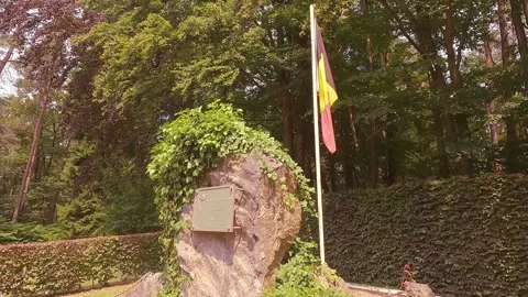 A tribal statue with a Belgian flag next to many trees in the daylight. Stock Footage 247134062