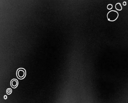 Tribal Style Pattern Animation Video stock 590317