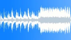 Tribal Vortex (WP) 04 MT 60 (frantic, driving, heavy, freaky, dramatic)Stock Music