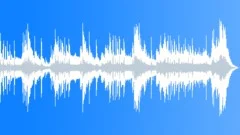 Tribal Vortex (WP) 05 MT 30 (frantic, driving, heavy, freaky, dramatic) Stock Music