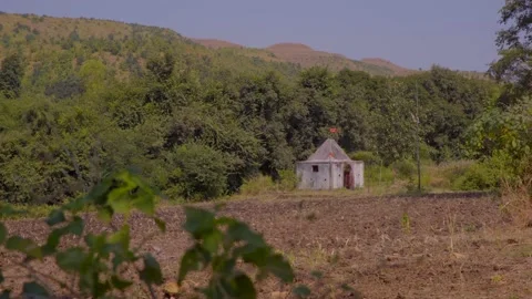 Tribals temple in the middle of the forest Stock Footage 204789276