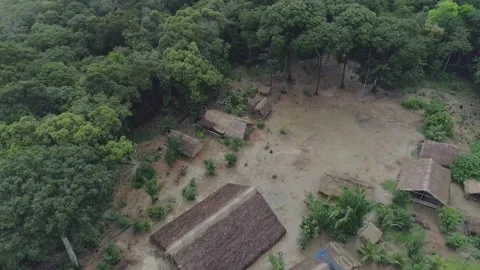 Tribe in the Amazon Jungle, shot revealing jungle around Stock Footage 136564514
