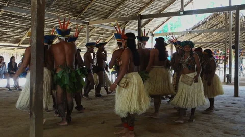 A tribe of Indians performs a traditional ritual dance in the hut for tourists Stock Footage 337148290