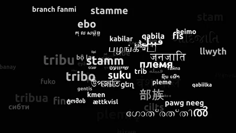 Tribe Translated in 69 Worldwide Languages Endless Looping 3d Zooming Wordclo Video stock 145208847
