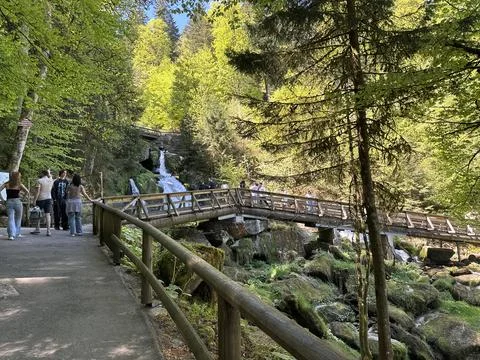Triberg waterfall and forest stream in spring landscape Stock Photos