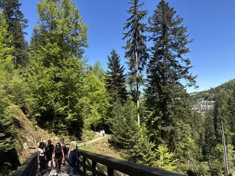 Triberg waterfall and forest stream in spring landscape Foto stock