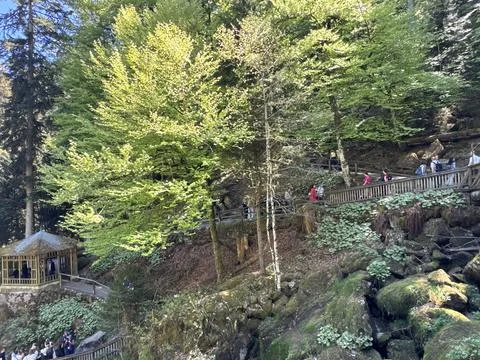 Triberg waterfall and forest stream in spring landscape Fotos de archivo