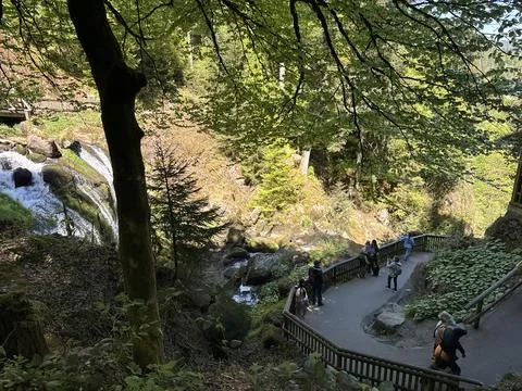 Triberg waterfall and forest stream in spring landscape Stockfoto's