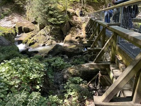 Triberg waterfall and forest stream in spring landscape Stockfoto's