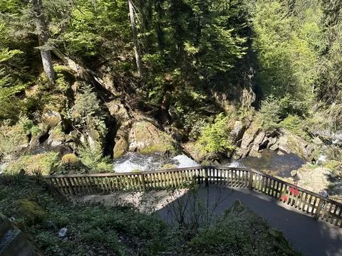 Triberg waterfall and forest stream in spring landscape Stock-Fotos
