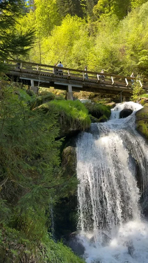 Triberg Waterfalls And Forest Bridge In Black Forest Germany Stock Footage 334752432