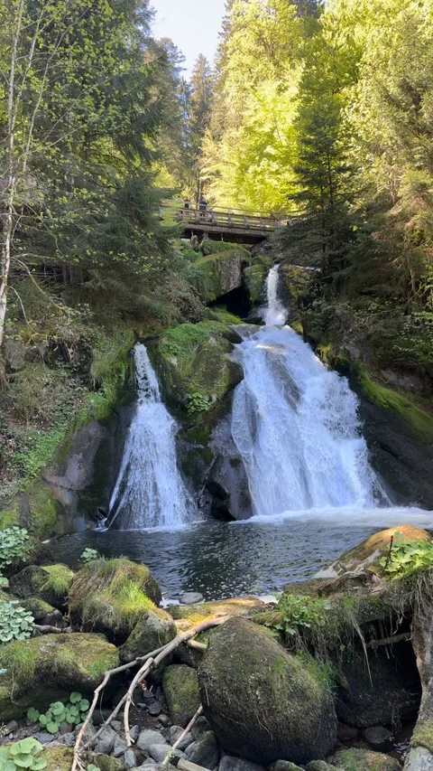Triberg Waterfalls And Forest Bridge In Black Forest Germany Stock Footage 334752456