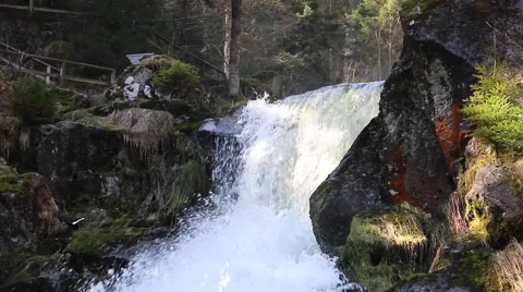Triberg Waterfalls closeup 3 Stock Footage 49079929