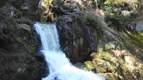 Triberg Waterfalls closeup 4 Stock Footage 49079988