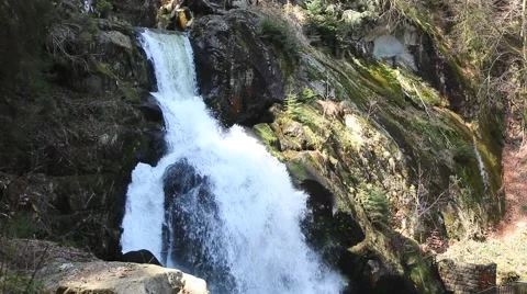 Triberg Waterfalls closeup 5 Stock Footage 49079287