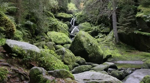 Triberg waterfalls Stock Footage 43195277