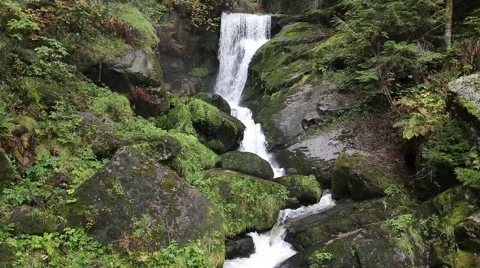 Triberg waterfalls - Germany Stock Footage 43185973