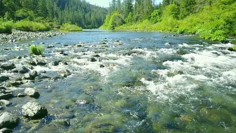 Tributary of White River.4K 動画素材 81075055