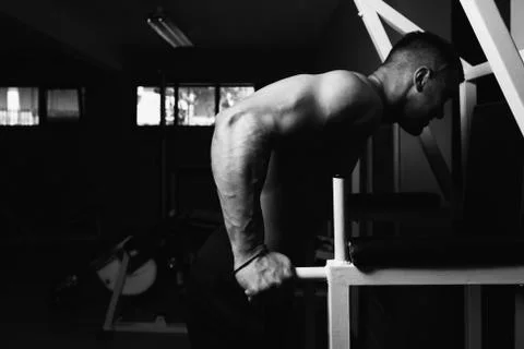 Triceps And Chest Exercise on Parallel Bars Stock-Fotos