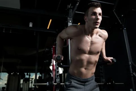 Triceps And Chest Exercise on Parallel Bars 写真素材