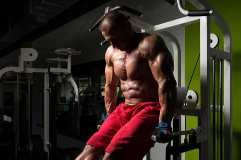 Triceps And Chest Exercise on Parallel Bars Stock Photos