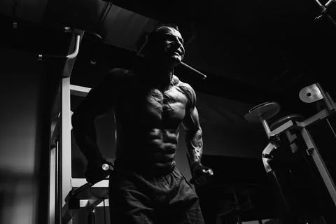 Triceps And Chest Exercise on Parallel Bars Stock Photos