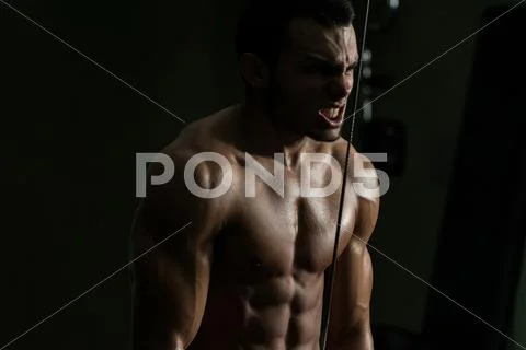 Triceps workout Stock Photos