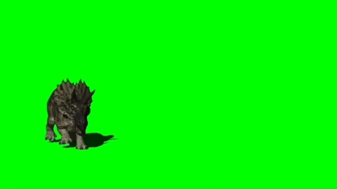 Triceratops Attacking on Green Screen 01 스톡 동영상 221493837