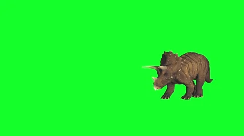 Triceratops dinosaur in attacking action! Stock Footage 56568309
