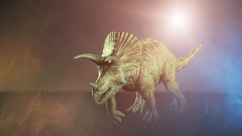 Triceratops dinosaur on dark background 3D render Stock Footage 118094045