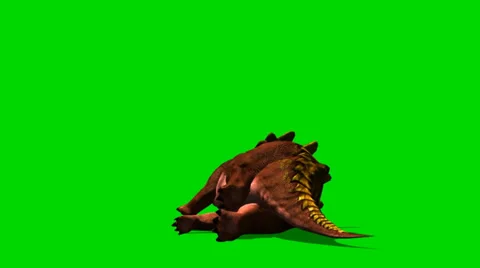 Triceratops dinosaur dies and falls to the ground - isloatet green screen Stock Footage