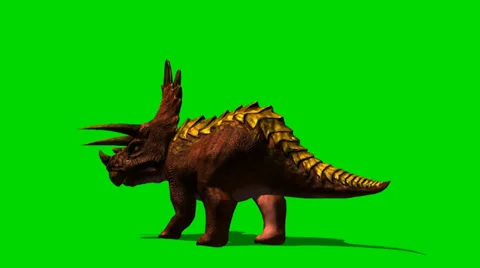 Triceratops dinosaur roars - isloatet green screen footage Vidéo 33687635