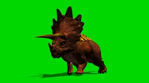 Triceratops dinosaur run attack - isloatet green screen footage Stock-Footage 33687625