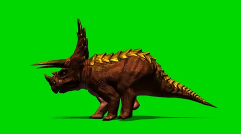 Triceratops dinosaur run attack - isloatet green screen footage Stock-Footage 33687641