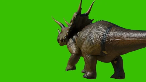 Triceratops dinosaur walk back view Stock Footage 308611587