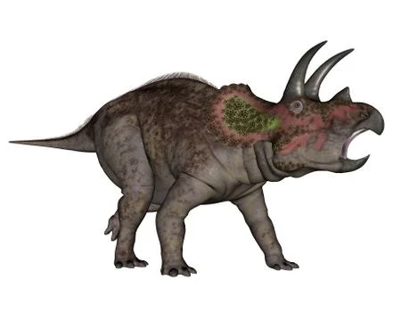 Triceratops dinosaur walking - 3D render Stock Illustration