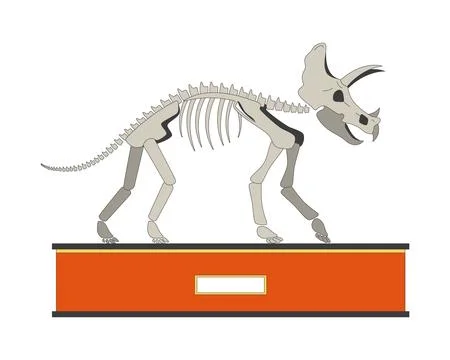 Triceratops exhibit 2D linear cartoon object Stock Illustration