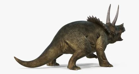 Triceratops Fighting Pose ~ 3D Model #90909070 | Pond5