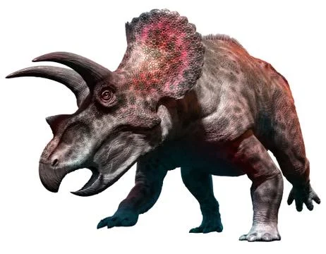 Triceratops Ilustración de archivo